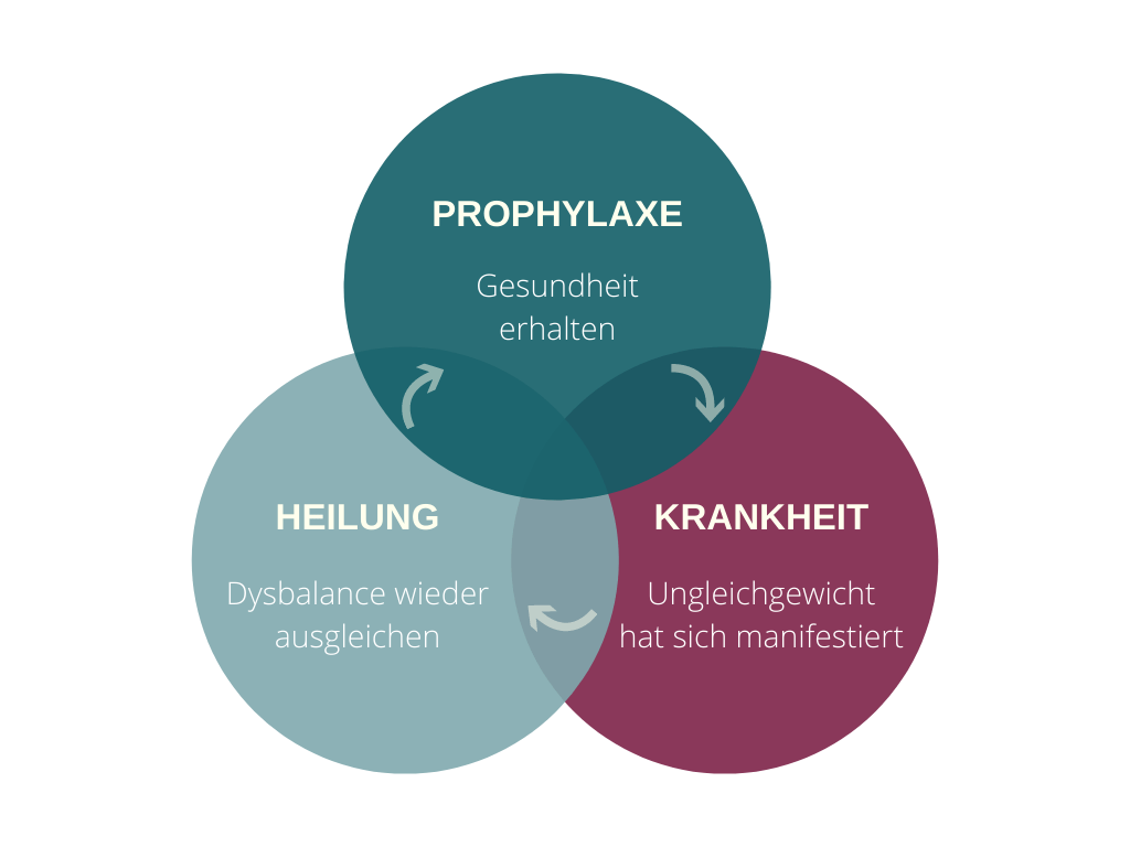 Bülow90 Ayurveda Zahnarzt Kreislaufdiagramm Detox Heilung Bülow90 Ayurveda Zahnarzt Die drei Phasen der Gesundheit